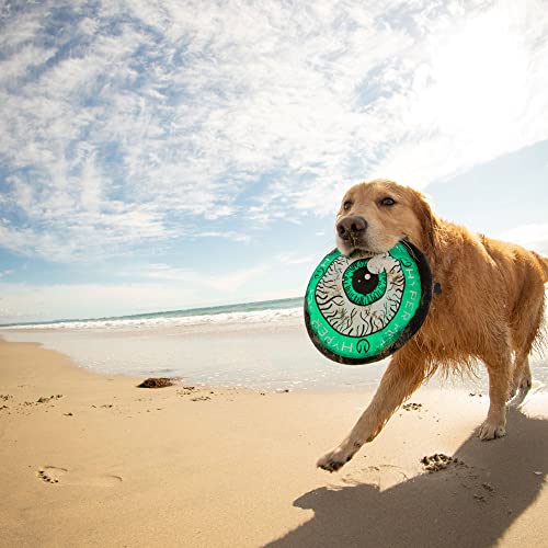 Hyper Pet Flippy Flopper Dog Frisbee Interactive Dog Toys [Flying Disc Dog Fetch Toy â Floats in Water & Safe on Teeth] (Colors Will Vary) 9" Eyeball