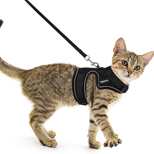 rabbitgoo Cat Harness and Leash for Walking Escape Proof, Soft Mesh Padded Pet Harness for Small Animals, Design with Metal Ring Double Buckles and Adjustable Velcro