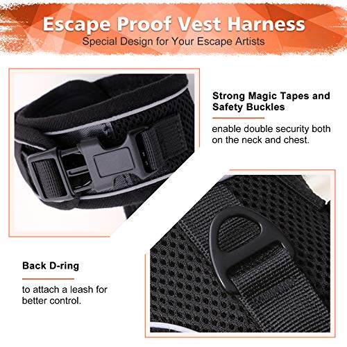 rabbitgoo Cat Harness and Leash for Walking Escape Proof, Soft Mesh Padded Pet Harness for Small Animals, Design with Metal Ring Double Buckles and Adjustable Velcro