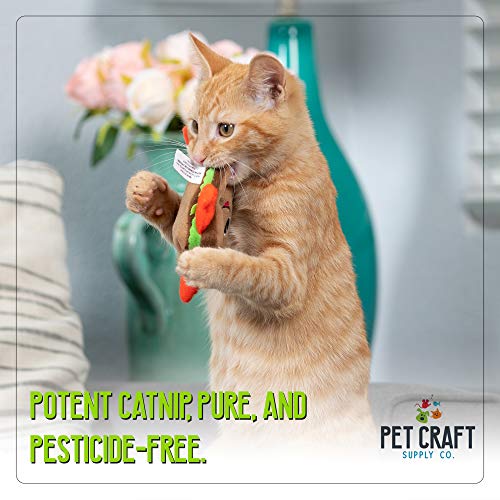 Pet Craft Supply Silly Snacks and Funny Food Crinkle Cuddling Catnip and Silvervine Toys - Interactive Cat Toys Alternative to Mice Fish Feathers Cat Toy