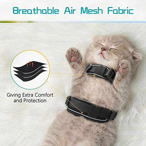 rabbitgoo Cat Harness and Leash for Walking Escape Proof, Soft Mesh Padded Pet Harness for Small Animals, Design with Metal Ring Double Buckles and Adjustable Velcro
