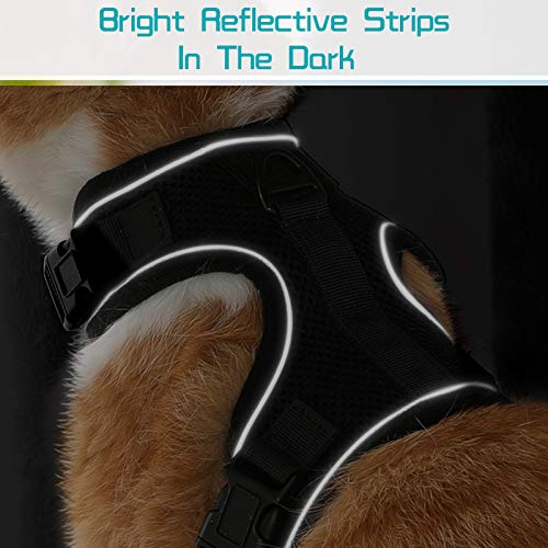 rabbitgoo Cat Harness and Leash for Walking Escape Proof, Soft Mesh Padded Pet Harness for Small Animals, Design with Metal Ring Double Buckles and Adjustable Velcro