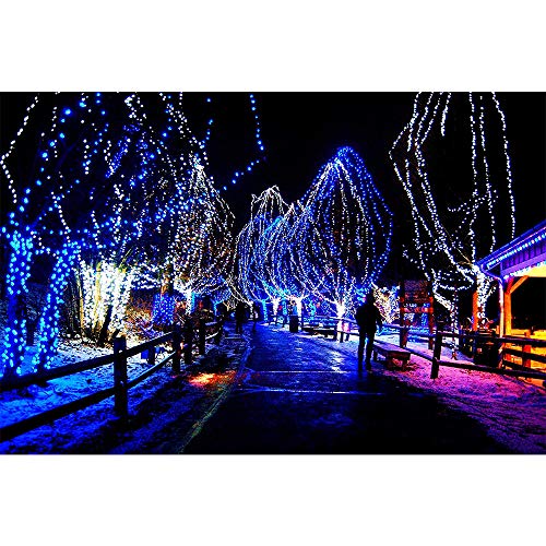 MYGOTO 33FT 100 LEDs String Lights Waterproof Fairy Lights 8 Modes with Memory 30V UL Certified Power Supply for Home, Garden, Wedding, Party, Christmas Decoration Indoor Outdoor (Cool White+Blue)