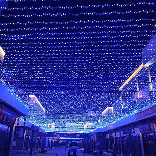 MYGOTO 33FT 100 LEDs String Lights Waterproof Fairy Lights 8 Modes with Memory 30V UL Certified Power Supply for Home, Garden, Wedding, Party, Christmas Decoration Indoor Outdoor (Cool White+Blue)