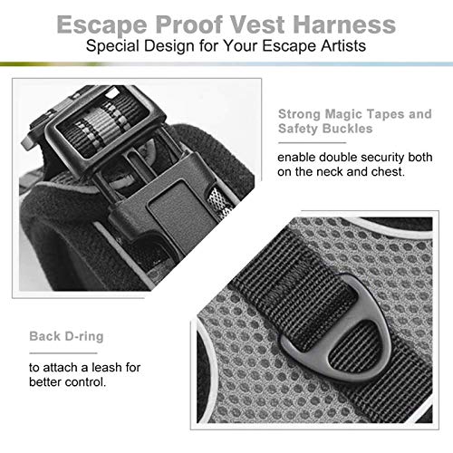 rabbitgoo Reflective Cat Harness and Leash Combo - Grey