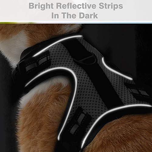 rabbitgoo Reflective Cat Harness and Leash Combo - Grey
