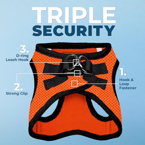 Voyager Step-in Air Dog Harness - All Weather Mesh, Step in Vest Harness for Small and Medium Dogs by Best Pet Supplies - Orange Base, XL (Chest: 21 - 23") (207-ORB-XL)