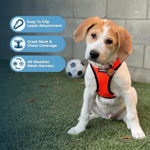 Voyager Step-in Air Dog Harness - All Weather Mesh, Step in Vest Harness for Small and Medium Dogs by Best Pet Supplies - Orange Base, XL (Chest: 21 - 23") (207-ORB-XL)