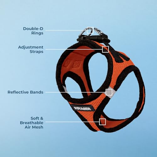 Voyager Step-in Air Dog Harness - All Weather Mesh, Step in Vest Harness for Small and Medium Dogs by Best Pet Supplies - Orange Base, XL (Chest: 21 - 23") (207-ORB-XL)