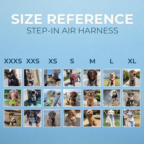 Voyager Step-in Air Dog Harness - All Weather Mesh, Step in Vest Harness for Small and Medium Dogs by Best Pet Supplies - Orange Base, XL (Chest: 21 - 23") (207-ORB-XL)