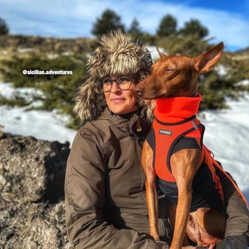 Voyager Step-in Air Dog Harness - All Weather Mesh, Step in Vest Harness for Small and Medium Dogs by Best Pet Supplies - Orange Base, XL (Chest: 21 - 23") (207-ORB-XL)