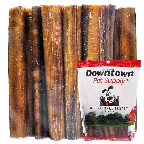 Downtown Pet Supply 6 inch Premium Natural Beef Bully Sticks, Jumbo Extra Thick Dog Dental Chew Treats - No Grain, High in Protein, Low in Fat (15 Pack)