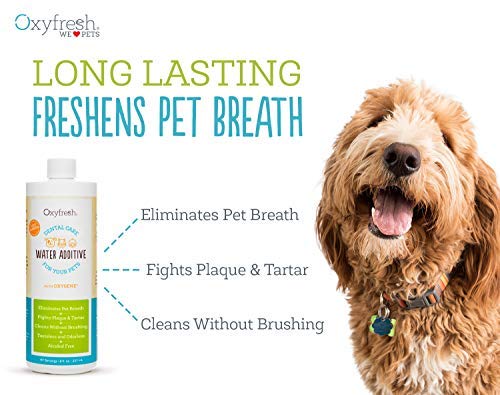 Oxyfresh Premium Pet Dental Care Solution Pet Water Additive: Best Way to Eliminate Bad Dog Breath and Cat Breath - Fights Tartar and Plaque - So Easy, Just Add to Water 2 Pack (16 oz)