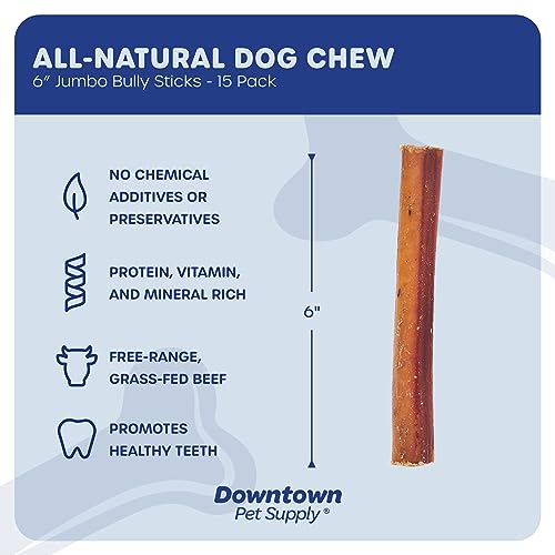 Downtown Pet Supply 6 inch Premium Natural Beef Bully Sticks, Jumbo Extra Thick Dog Dental Chew Treats - No Grain, High in Protein, Low in Fat (15 Pack)