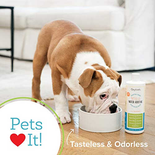 Oxyfresh Premium Pet Dental Care Solution Pet Water Additive: Best Way to Eliminate Bad Dog Breath and Cat Breath - Fights Tartar and Plaque - So Easy, Just Add to Water 2 Pack (16 oz)
