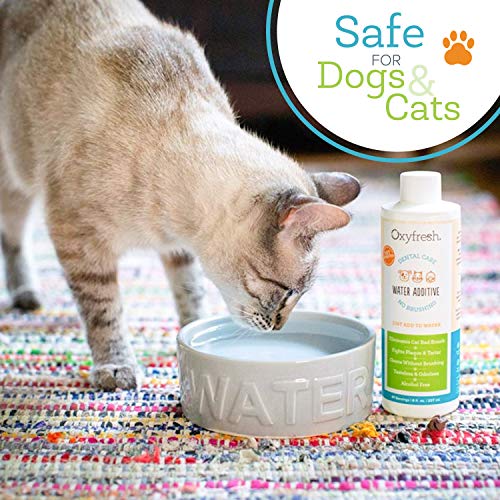 Oxyfresh Premium Pet Dental Care Solution Pet Water Additive: Best Way to Eliminate Bad Dog Breath and Cat Breath - Fights Tartar and Plaque - So Easy, Just Add to Water 2 Pack (16 oz)