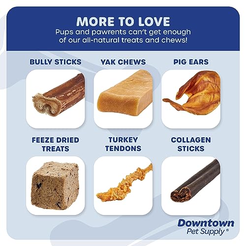 Downtown Pet Supply 6 inch Premium Natural Beef Bully Sticks, Jumbo Extra Thick Dog Dental Chew Treats - No Grain, High in Protein, Low in Fat (15 Pack)
