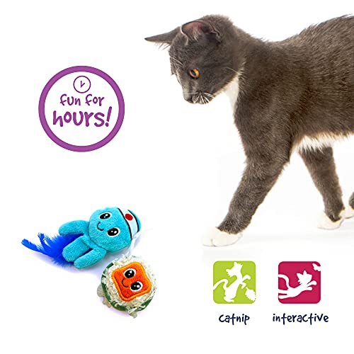 Pet Craft Supply Silly Snacks and Funny Food Crinkle Cuddling Catnip and Silvervine Interactive Cat Toys - Great for Indoor Cats and Kittens