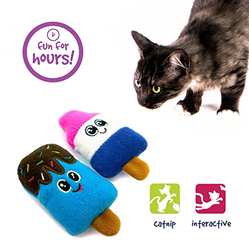 Pet Craft Supply Silly Snacks and Funny Food Crinkle Cuddling Catnip and Silvervine Interactive Cat Toys - Great for Indoor Cats and Kittens