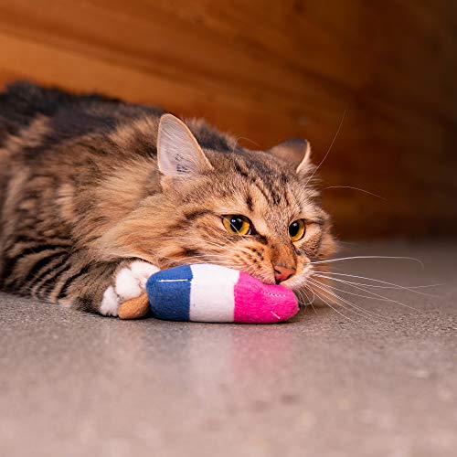 Pet Craft Supply Silly Snacks and Funny Food Crinkle Cuddling Catnip and Silvervine Interactive Cat Toys - Great for Indoor Cats and Kittens