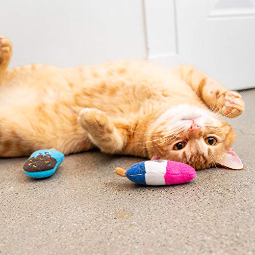 Pet Craft Supply Silly Snacks and Funny Food Crinkle Cuddling Catnip and Silvervine Interactive Cat Toys - Great for Indoor Cats and Kittens