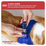 Downtown Pet Supply No Pull, Step in Adjustable Dog Harness with Padded Vest, Easy to Put on Small, Medium and Large Dogs (Blue, XS)