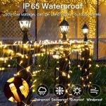 MYGOTO 33FT 100 LEDs String Lights Waterproof Fairy Lights 8 Modes with Memory 30V UL Certified Power Supply for Home, Garden, Wedding, Party, Christmas Decoration Indoor Outdoor (Warm White)