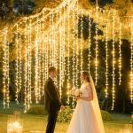 MYGOTO 33FT 100 LEDs String Lights Waterproof Fairy Lights 8 Modes with Memory 30V UL Certified Power Supply for Home, Garden, Wedding, Party, Christmas Decoration Indoor Outdoor (Warm White)