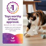 SmartyKat Skitter Critters Cat Toy Catnip Mice, 3/pkg