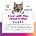 SmartyKat Skitter Critters Cat Toy Catnip Mice, 3/pkg