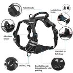 WINSEE Dog Harness No Pull, Pet Harnesses with Dog Collar, Adjustable Reflective Oxford Outdoor Vest, Front/Back Leash Clips for Small, Medium, Large, Extra Large Dogs, Easy Control Handle for Walking
