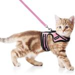 rabbitgoo Cat Harness and Leash for Walking, Escape-Proof No Choke Reflective Vest Harnesses for Small Cats, Kitten Harness with Magic Tapes and Double Clips for Kitty Safety Outdoor Activity, Pink, M