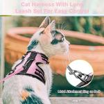 rabbitgoo Cat Harness and Leash for Walking, Escape-Proof No Choke Reflective Vest Harnesses for Small Cats, Kitten Harness with Magic Tapes and Double Clips for Kitty Safety Outdoor Activity, Pink, M