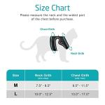 rabbitgoo Cat Harness and Leash for Walking, Escape-Proof No Choke Reflective Vest Harnesses for Small Cats, Kitten Harness with Magic Tapes and Double Clips for Kitty Safety Outdoor Activity, Pink, M