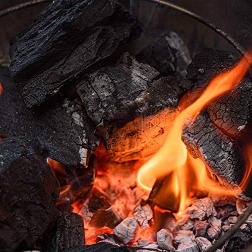 Kamado Joe XL Lump Charcoal, 30 lbs, Black