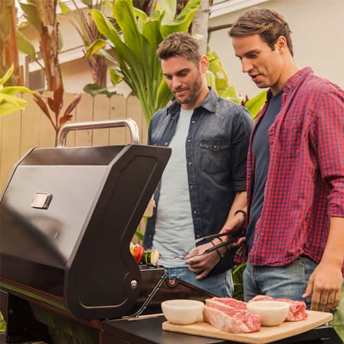 Megamaster 5 Burner Propane Gas Grill, Side Shelves