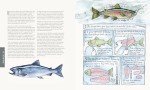 Outdoor Cooking Made Easy: A Cookbook for Adventurers