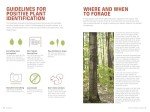 Foraging: Turn Nature’s Finds Into Tasty Meals