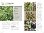 Foraging: Turn Nature’s Finds Into Tasty Meals