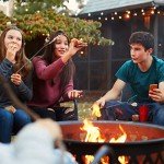 Extra Long Marshmallow Roasting Sticks Set of 4