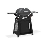 Weber Q 2800N+ Propane Grill with Stand