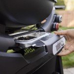 Weber Q 2800N+ Propane Grill with Stand