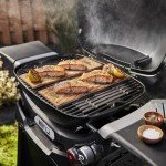 Weber Q 2800N+ Propane Grill with Stand