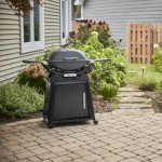 Weber Q 2800N+ Propane Grill with Stand