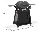 Weber Q 2800N+ Propane Grill with Stand
