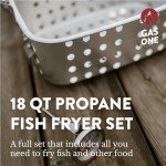 Gas One Double Fryer with 2 Baskets