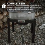 Gas One Double Fryer with 2 Baskets