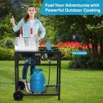 Double Burner Propane Deep Fryer with Pots & Baskets