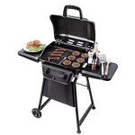Charbroil Classic Series Convective 2-Burner Gas Grill