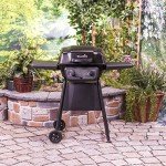 Charbroil Classic Series Convective 2-Burner Gas Grill